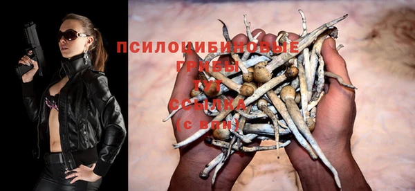марихуана Горнозаводск